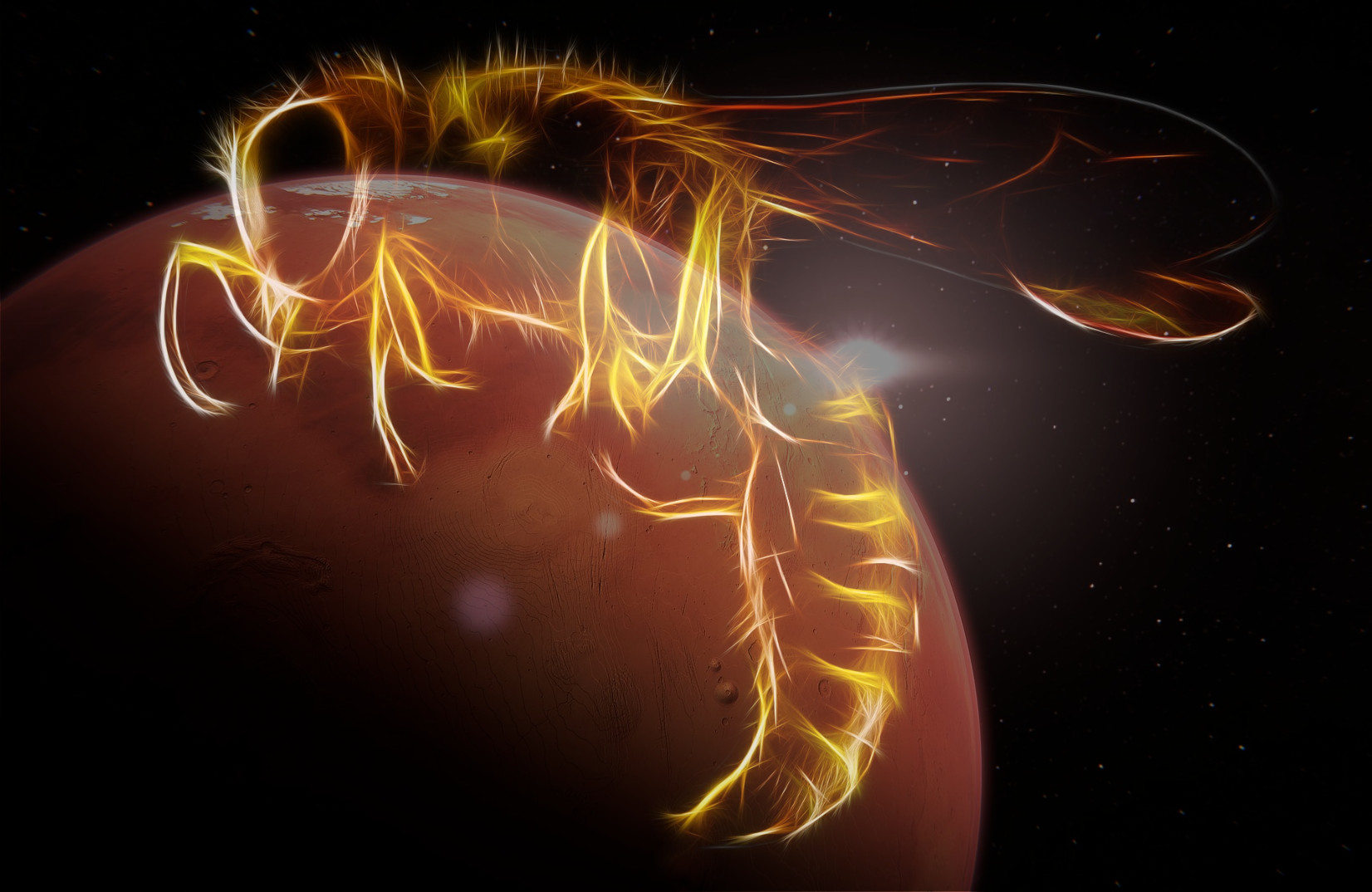 火星と昆虫イメージ